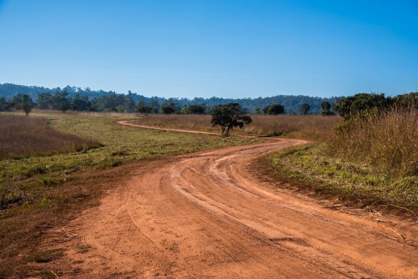 Dirt Driveway Repair in Dawsonville