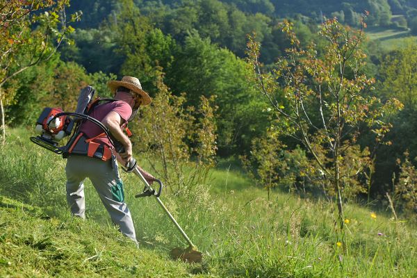 Slope Trimming in Dawsonville